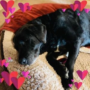 Meet your Posher, Jeanette